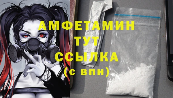 соль ск Богородицк