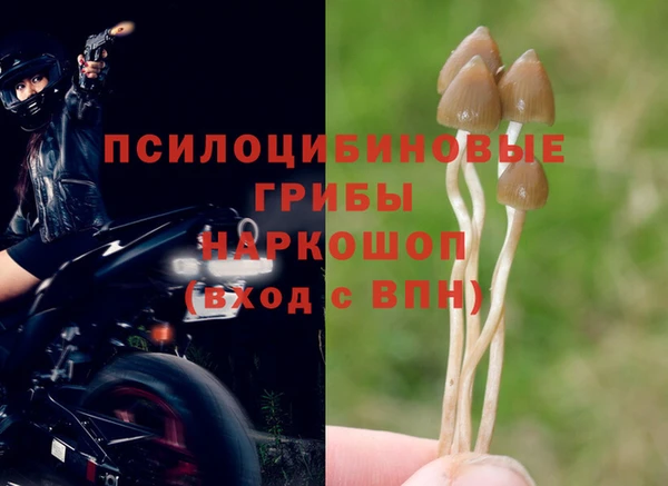 бошки Бронницы